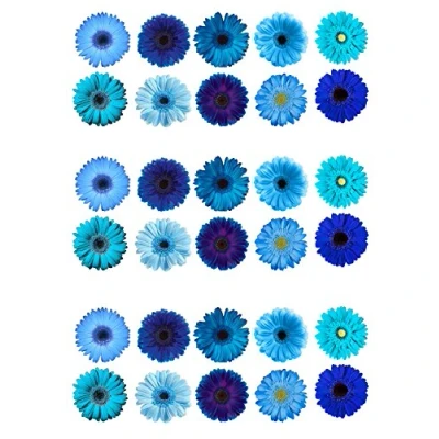 Afbeelding van Gerbera Eetbare decoraties van wafelpapier, blauw, 30 stuks