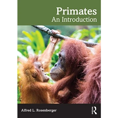 Afbeelding van Primates