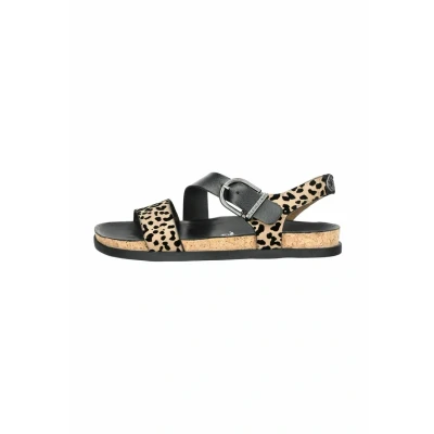 Afbeelding van Blowfish Malibu Sandalen Blackbrown i, Dames, Maat: 38, i Schoenen