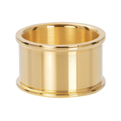 Afbeelding van Basis ring 12 mm iXXXi Goud / 21