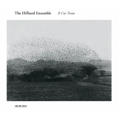 Afbeelding van The Hilliard Ensemble Il Cor Tristo (CD)