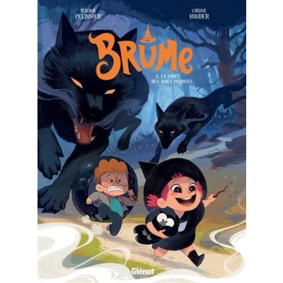 Image de Brume Tome 02