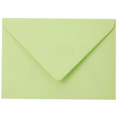 Image de Pollen Enveloppe 120g 162x229 vert bourgeon pqt 20
