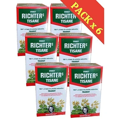 Afbeelding van Ernst Richter Special Transit kruidenthee, 6 verpakkingen van 20 stuks