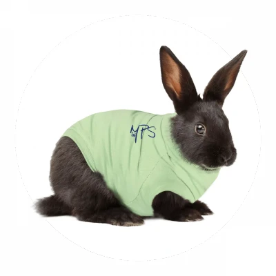 Afbeelding van Medical pet shirt konijn M (3,5 4,5)