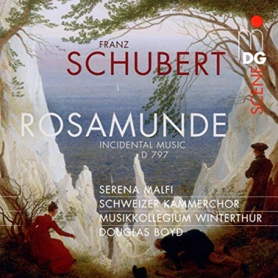 Afbeelding van Various Artists Schauspielmusik Zu Rosamunde (Super Audio CD)