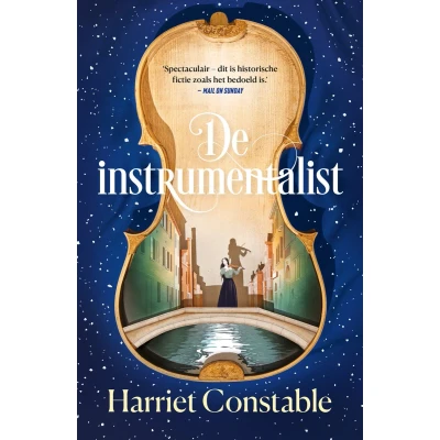 Afbeelding van De instrumentalist