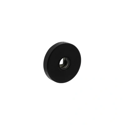 Afbeelding van Intersteel krukrozetten massief verdekt met nokken ø53x10 mm zwart