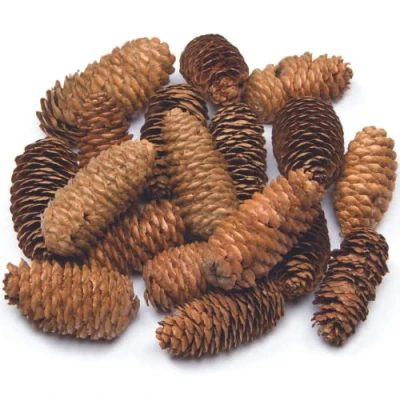 Afbeelding van Baker Ross Lange dennenappels (20 stuks), natuurlijk, 250 g