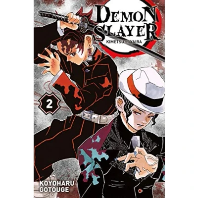 Afbeelding van DEMON SLAYER Tome 2