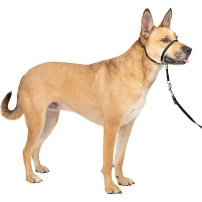 Afbeelding van Petsafe easy walk anti trek zwart