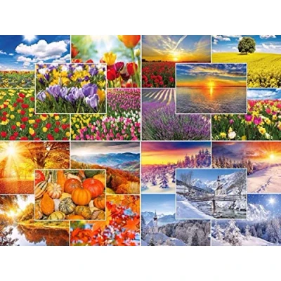 Afbeelding van Set van 20 ansichtkaarten (20 verschillende motieven) voor lente, zomer, herfst en winter