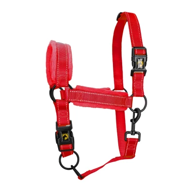 Image de Excellent Licol Superior Rouge Poulain Miniature