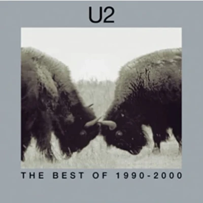 Image de Island U2 Best Of 1990 2000 Lp