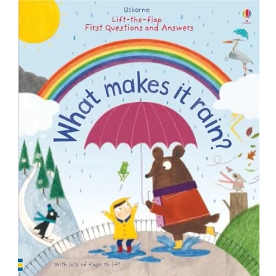 Afbeelding van Lift The Flap First Q&amp;A What Makes Rain
