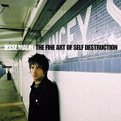 Afbeelding van The Fine Art Of Self Destruction (LP Reissue)