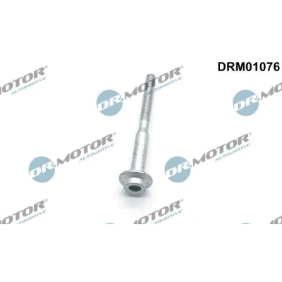 Afbeelding van Schroef, inspuitstukhouder Dr.Motor Automotive DRM01076