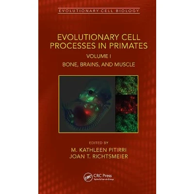 Afbeelding van Evolutionary Cell Biology Processes in Primates