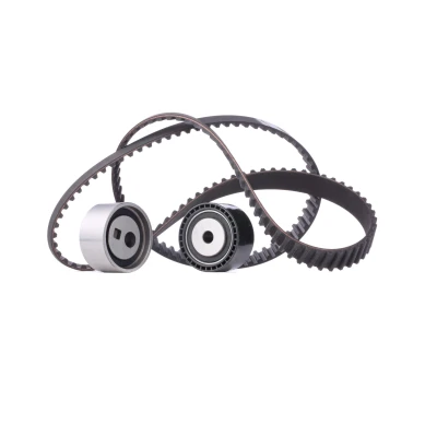 Afbeelding van Skf Distributieriem kit VKMA 03248
