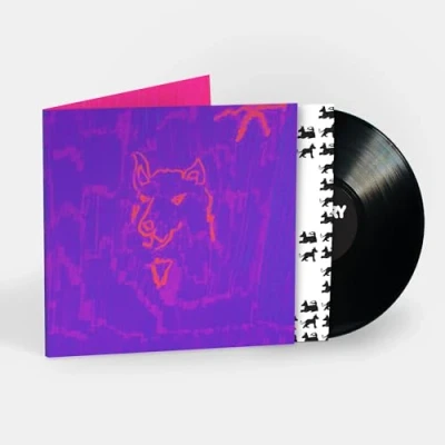 Afbeelding van Dehd Poetry (LP)