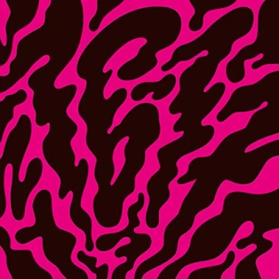 Afbeelding van Phantom Limb