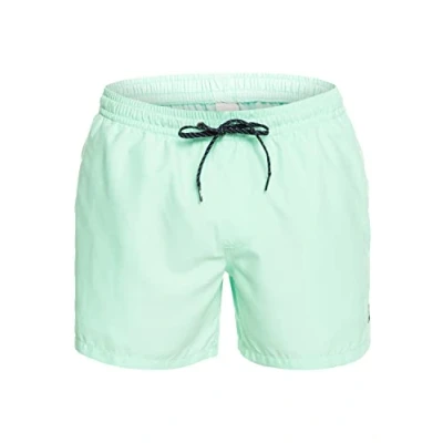 Afbeelding van Quiksilver Everyday Volley 15 Zwemshorts, Heren, Maat: Medium, Beach glass