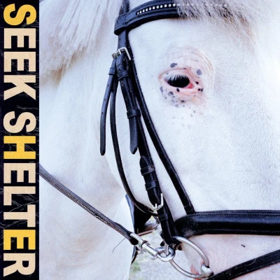 Afbeelding van Iceage Seek Shelter (LP)