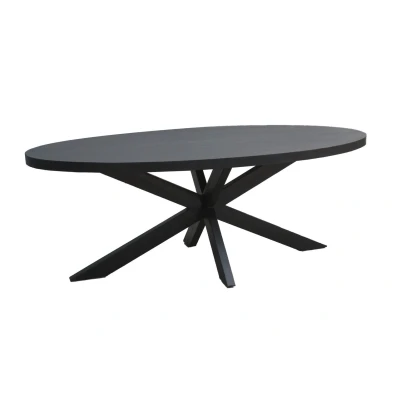 Afbeelding van Livingfurn Eetkamertafel Kala Oval Spider 180 cm Mangohout / Gecoat Staal