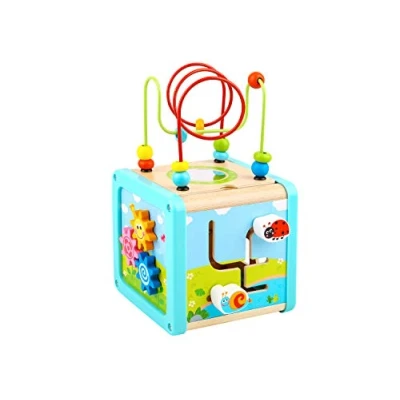 Afbeelding van Tooky toy Houten Activiteitenkubus 18 maanden 6 delig