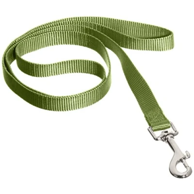 Afbeelding van Nobby Classic Hondenlijn Nylon XS Groen Breedte 10 mm Lengte 120 cm