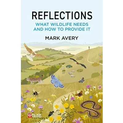 Afbeelding van Reflections