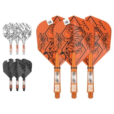 Afbeelding van Target Raymond van Barneveld Ink Flight Shaft Kit Dart Flights