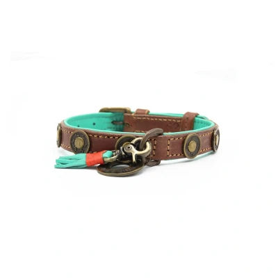 Afbeelding van Dwam Halsband Urban Bruin&amp;Turquoise Hondenhalsband 25 31x2.0 cm