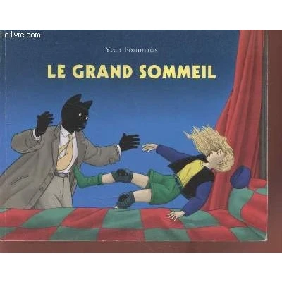 Afbeelding van Le grand sommeil