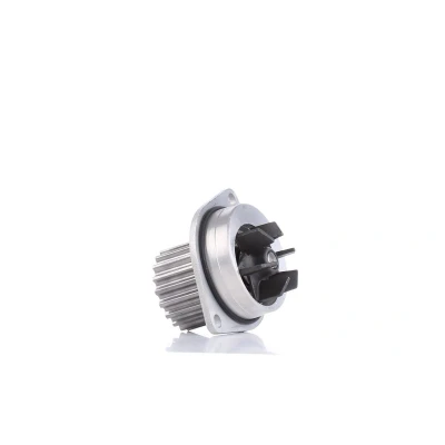 Afbeelding van DOLZ C113 Waterpomp 19 Met riemschijf PEUGEOT: 207 Hatchback, 206 307 CITROËN: C4 I Berlingo II, Saxo Hatchback