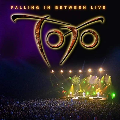 Afbeelding van Falling In Between Live