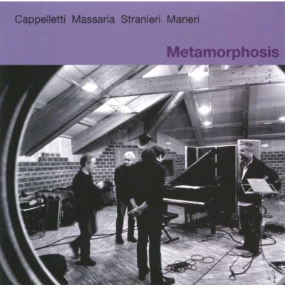 Afbeelding van Metamorphosis