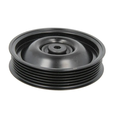 Afbeelding van Geleide rol/omdraairol, Poly V riem DAYCO APV2793