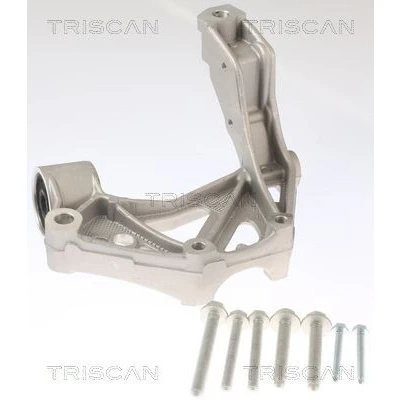 Afbeelding van Lagerbok, asverbinding TRISCAN 8500 295262