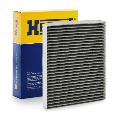 Afbeelding van HENGST filter E961LC Interieurfilter Carbon 252 217 31 VOLKSWAGEN: Polo V Hatchback, IV Fox SKODA: Fabia 2