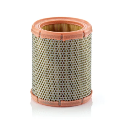 Image de Filtre à air mann filter c1460