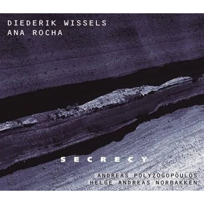 Afbeelding van Diederik Wissels, Ana Rocha, Andreas Polyzogopou Secrecy (CD)