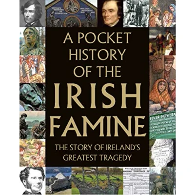 Afbeelding van A Pocket History of the Irish Famine