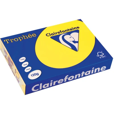 Afbeelding van Clairefontaine Trophée Intens, Gekleurd Papier, A4, 120 G, 250 Vel, Zonnegeel Papier