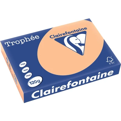 Afbeelding van Clairefontaine Trophée Pastel, gekleurd papier, A4, 120 g, 250 vel, abrikoos papier