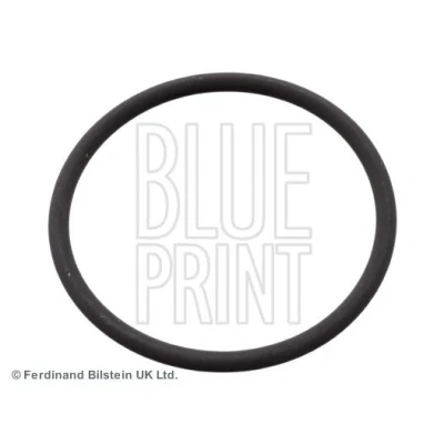 Afbeelding van Pakking, inspuitpomp BLUE PRINT ADN16144