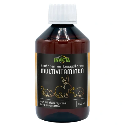 Afbeelding van Invicta Multivitamines Voedingssupplement 250 ml