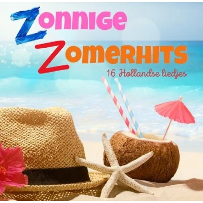 Afbeelding van Various Artists Zonnige Zomerhits (CD)