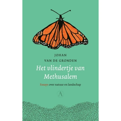 Afbeelding van Het vlindertje van Methusalem
