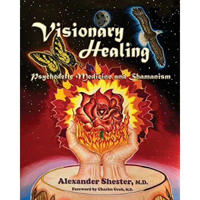Afbeelding van VISIONARY HEALING Psychedelic Medicine and Shamanism